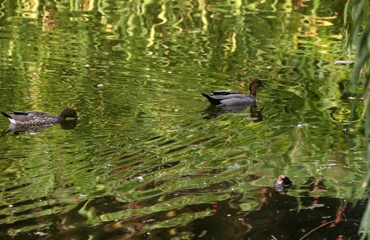 IMG_9102a.jpg